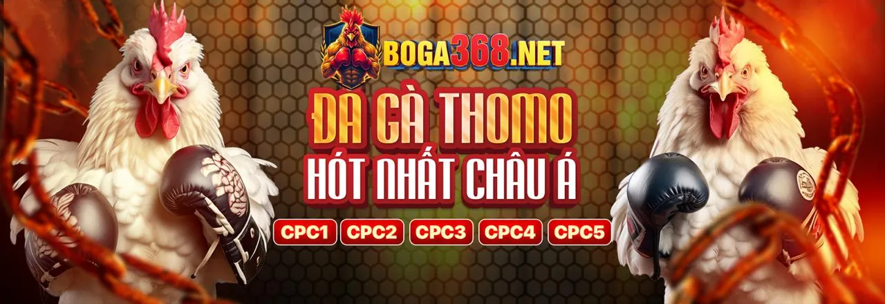Khuyến mãi thường xuyên và sự kiện hr99
